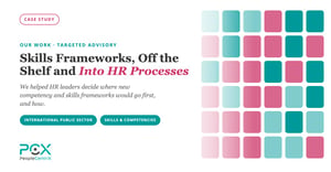 Skills Frameworks, Off the Shelf and Into HR Processes